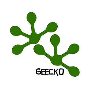 Geecko Web Design Logo